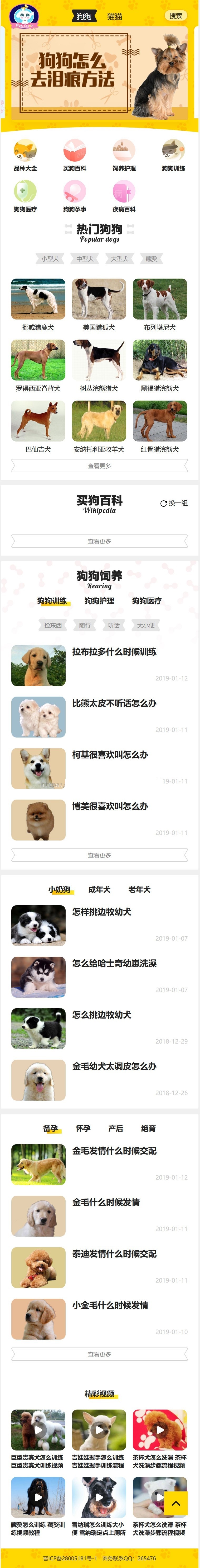 <a href=https://www.xiaba.cc/tags/phome/ target=_blank class=infotextkey>帝国cms</a>仿小可爱宠物网宠物资讯平台网站源码+火车头采集+手机端