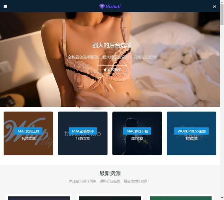 日主题Rizhuti3.2免授权版，WordPress高端 虚拟资源下载网站源码